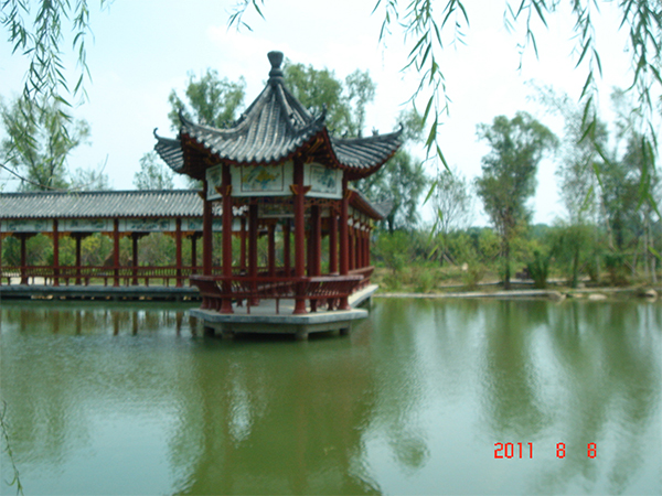 公司美景
